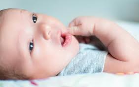 Paperless workflow · trusted by millions · edit on any device Child Custody Lawyers Cook County Il And Berrien County Mi