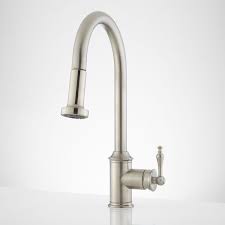 traditional kitchen faucet signature