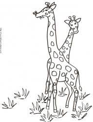 Suis nos explications en vidéo pour apprendre à dessiner une girafe. Coloriage D Une Petite Girafe Tete A Modeler