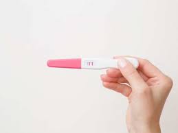 The dog pregnancy test kit contains five tests to detect pregnancy in dogs. Pregnancy Test When Is The Right Time To Take A Pregnancy Test