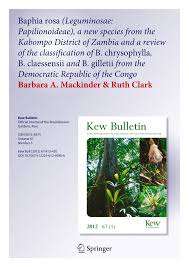 Image result for Baphia speciosa