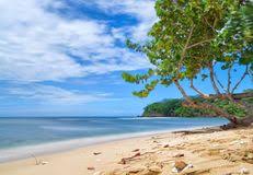 Arts et sciences humaines, des sports, génie civil, ingénierie, ingénierie informatique, la musique, éducation, études environnementales. Ile De La Republique De Trinite Et Tobago Du Tobago Mt Baie D Irvine Plage Tropicale De Mer Des Caraibes Image Stock Image Du Flore Greater 111888159