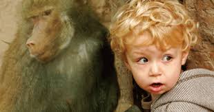 Jerry Coyne and the “Fact” of Evolution