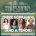 Pine Mountain Music Festival presents: A Little Light Music