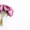Plant pollen is often carried by wind or insects from one plant to another. 1