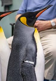 2 0 2 3 ANNU AL REPOR T BEYOND BOUNDARIES A YEAR OF INNOVATION