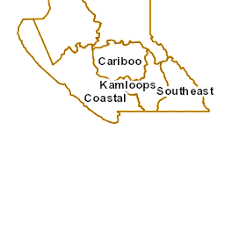 12,266 likes · 858 talking about this · 39 were here. Bc Wildfire Service Provincial Current Year Fires