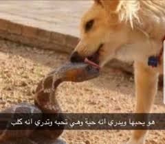 𝚄𝙽𝙳𝙴𝚁 𝚃𝙷𝙴 𝙰𝙻𝙿𝙷𝙰 𝙿𝙴𝚁𝙵𝚄𝙼𝙴 in 2021 funny science jokes memes funny faces movie quotes funny