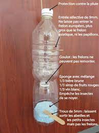 Piège à frelons tap trap. Lutte Contre Les Frelons Asiatiques Com Com Crozon
