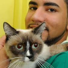 THE BEST 10 Veterinarians near FRONT ST, YORKTOWN HEIGHTS, NY 10598