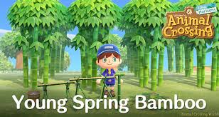 Другие видео об этой игре. Young Spring Bamboo Diy Crafting Recipes How To Get Them In Animal Crossing New Horizons