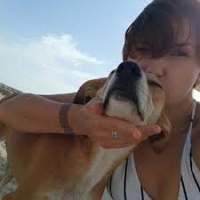 Pet kennels near me for dogs. Dupaws In Home Dog Boarding Dog Walking Pet Sitting And Dog Daycare In Dubai