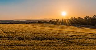 Shelter provides clear span structures to be indoor tennis courts for any capacity. How Big Is An Acre With Visual Examples Today I M Outside