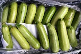 Let us know in the comments below. Why Zucchini Is Bitter And How To Get Rid Of Bitterness At The Growing Stage Why Zucchini Are Bitter