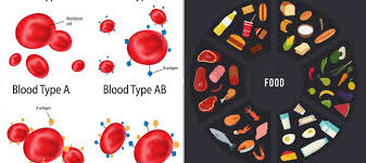 What Foods To Eat According To Your Blood Type Best Diet