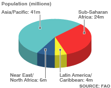 the power of only one world hunger