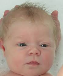 Peter Halcrow (@PETE27011975)