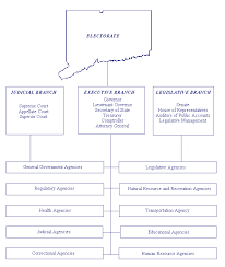 organization chart comprehensive annual financial report