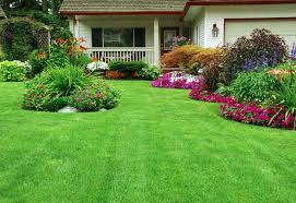 Lawn Doctor Home Grass Garden Tree Shrubs Landscaping With Rocks Small Front Yard Landscaping Backyard Landscaping