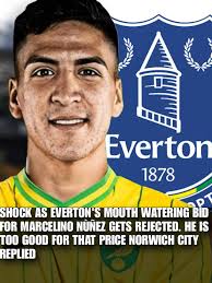 averroes or nerhadou or marcyrl Rejected in all