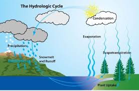 Clean Water Water Cycle For Kids Water Cycle Diagram Water Cycle