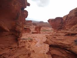 Little finland, or devil's fire, is a plateau of ochre rocks with strange and fascinating shapes, located in nevada, not far from las vegas and near lake mead. Hiking Little Finland Gold Butte National Monument Road Trip Ryan