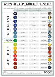 Science Poster On The Ph Scale Acids And Bases Chemistry Lessons Science Chemistry Chemistry Classroom