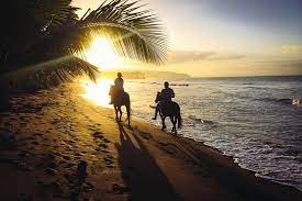 Contact us for more info suncitystables41@gmail.com. Tripadvisor Sunset Horseback Riding Tour From Punta Cana Provided By Punta Canada Adventures Cap Cana