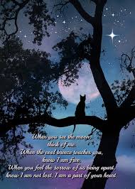 Right now we have an older dog and an older cat. Cat Poem And Memorial Photograph By Stephanie Laird