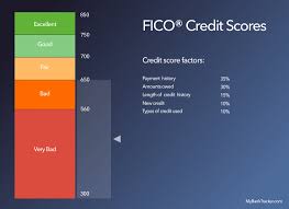 how often you should check your credit score