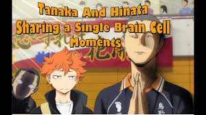 51+ haikyuu quotes about teamwork & self improvement. Haikyuu Quotes Funny 91 Funny Haikyuu Memes That Will Cheer You Up In No Time Qta Ckasyubggvcle596