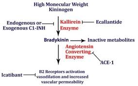 Image result for ACE Inhibitor