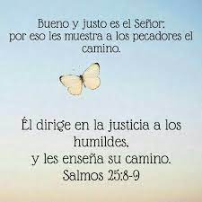 Pin De Susan Virginia Sandoval Endara En Buenos Dias Versiculos Biblicos Frases Religiosas Palabra De Aliento