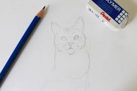 Draw a horizontal line through the head to help you place the cat's eyes on the same level. How To Draw A Realistic Cat Step By Step Tutorial Craftsy