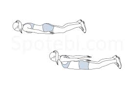 Prone Back Extension Illustrated Exercise Guide Workout Guide Back Exercises Exercise