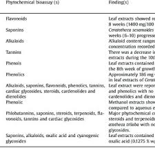 Image result for Ceratotheca integribracteata
