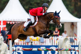 Check spelling or type a new query. Das Ist Unser Osterreichisches Team Bei Der Em In Rotterdam Equestrian Worldwide Pferdesport Weltweit Eqwo Net