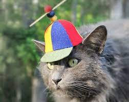 Pin On Trico E Croche