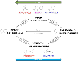 Descubre lo que maldonado alfaro.dany (maldonadoalfarodany) encontró en pinterest, el lugar donde se encuentran las mejores ideas del mundo. Switches Stability And Reversals The Evolutionary History Of Sexual Systems In Fish Biorxiv