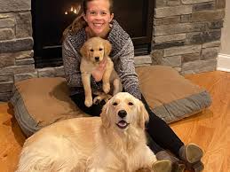4227 delemere blvd royal oak, mi 48073. Dog Day Cares Turn To Front Line Workers Pandemic Puppies To Prosper