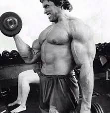 Arnold Schwarzeneggers Biceps Training Routine Body