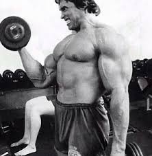 arnold schwarzeneggers biceps training routine body