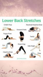 Lower Back Stretch Yoga For Beginners Low Back Stretches Jnana Yoga