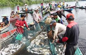 Hal ini bisa terjadi karena dengan posisi tersebut menyebabkan indonesia menjadi jalur perdagangan dunia. Kondisi Geografis Indonesia Sebagai Negara Maritim Atau Kepulauan Berdampak Pada