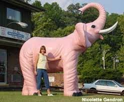 Barboursville West Virginia Pink Elephant Http Www Roadsideamerica Com Tip 1487 West Virginia Travel West Virginia West Virginia Girl