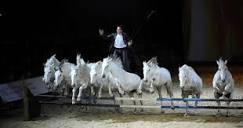 Agenda Avignon - Cheval Passion Equestrian Festival in 2025 ...