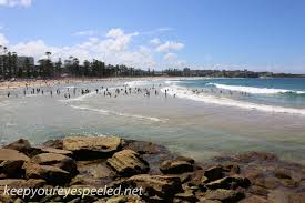 Australia Day Four: Yes , More Sydney Beaches- Manly And Shelly