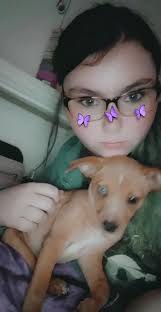 Loss of a beloved pet, Juno, at the Rainbow Bridge