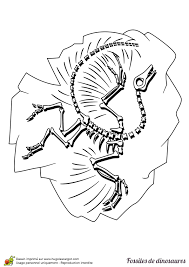 coloriage de fossiles dinosaures un archeopteryx fossile dinosaure mandala hiver