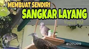 Berketuk (= berkotek) di luar sangkar, bertanam di luar pagar. Membuat Sendiri Sangkar Layang Sederhana Untuk Derkuku Puter Dan Perkutut Youtube